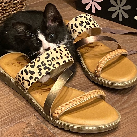 Meet your Posher, Jenn - Picture 1 of 1